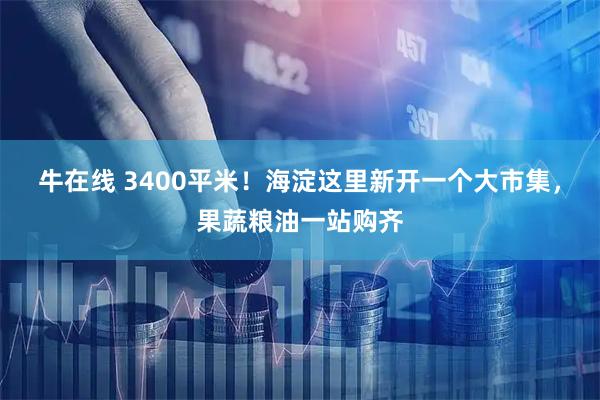 牛在线 3400平米！海淀这里新开一个大市集，果蔬粮油一站购齐